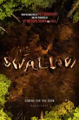The Swallow
