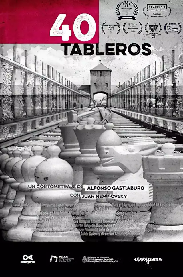 movie vertical poster fallback