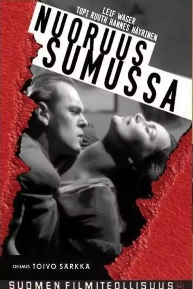 movie vertical poster fallback
