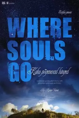 Where Souls Go