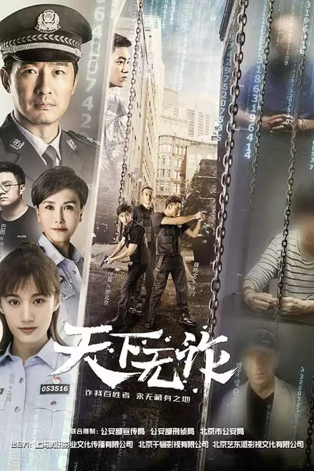 movie vertical poster fallback