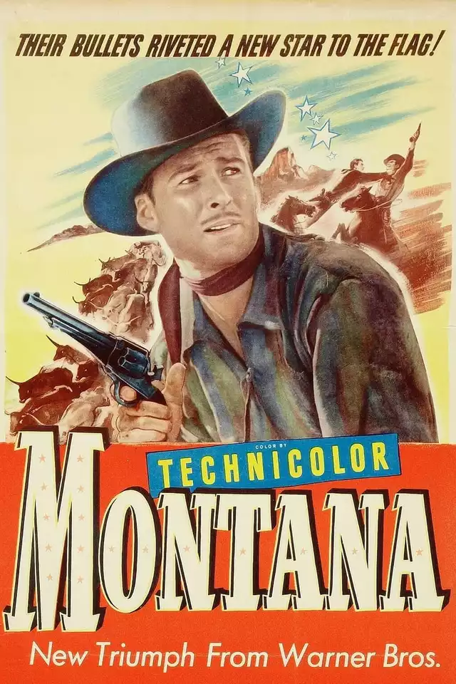 movie vertical poster fallback