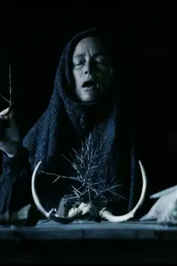 Mother of Flies