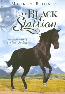 Adventures of the Black Stallion