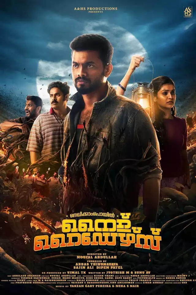 movie vertical poster fallback