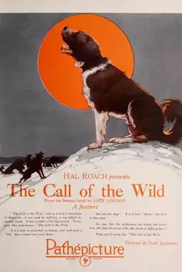 The Call of the Wild