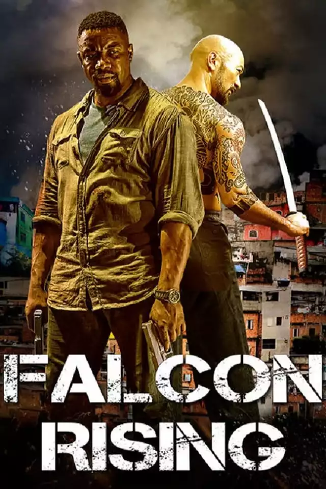 movie vertical poster fallback