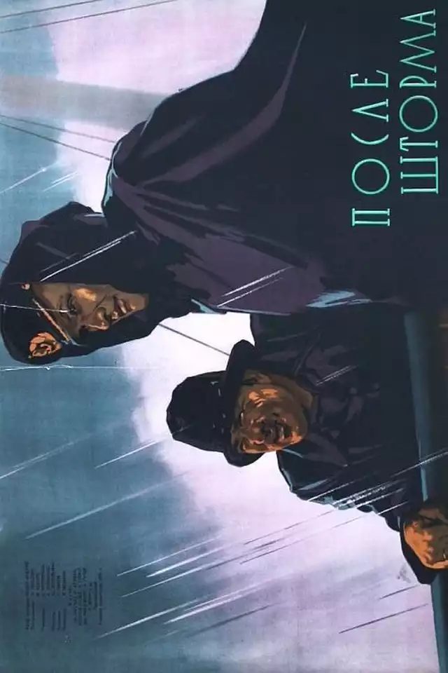 movie vertical poster fallback