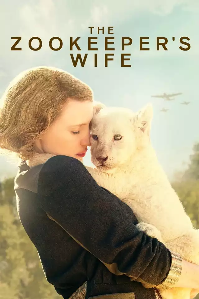 movie vertical poster fallback