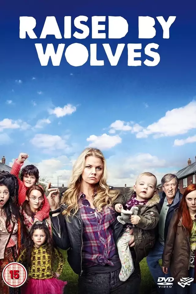 movie vertical poster fallback