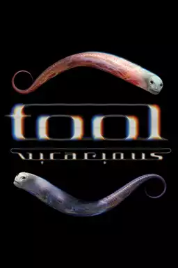 Tool - Vicarious