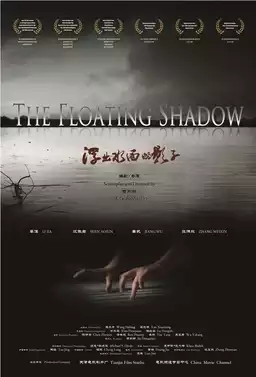 The Floating Shadow