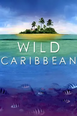 Wild Caribbean