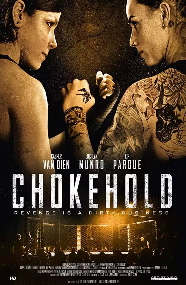 movie vertical poster fallback