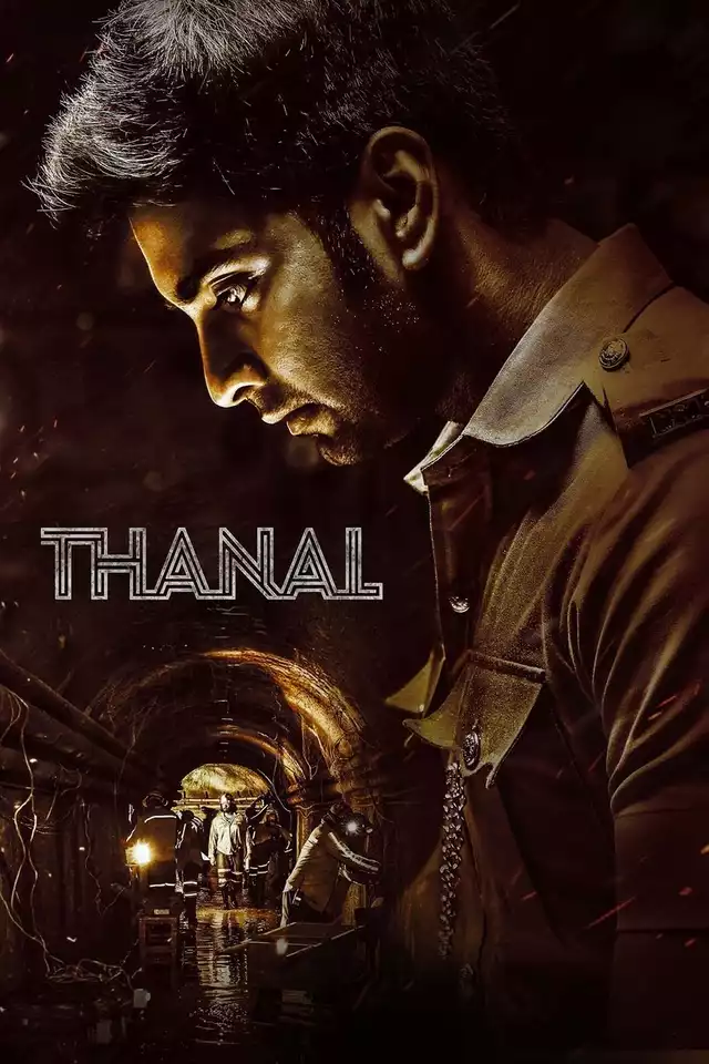 movie vertical poster fallback