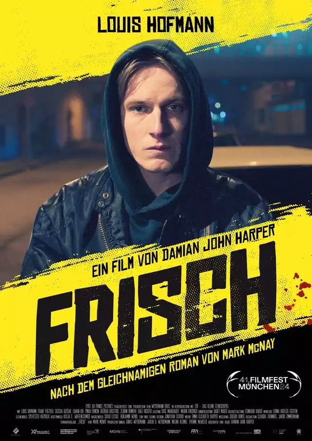 movie vertical poster fallback