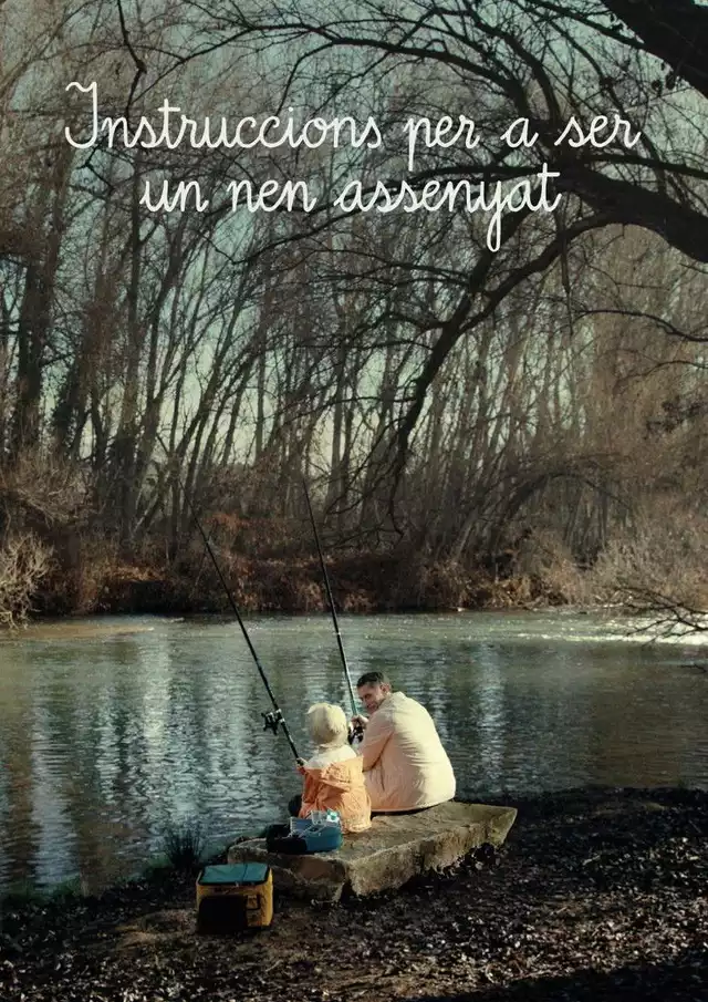 movie vertical poster fallback