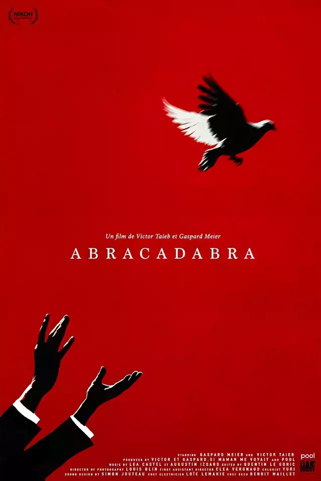 movie vertical poster fallback