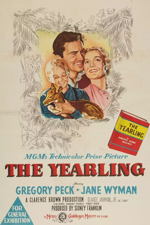 movie vertical poster fallback