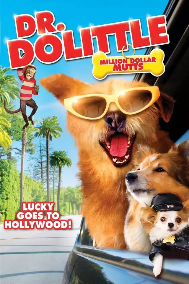 movie vertical poster fallback