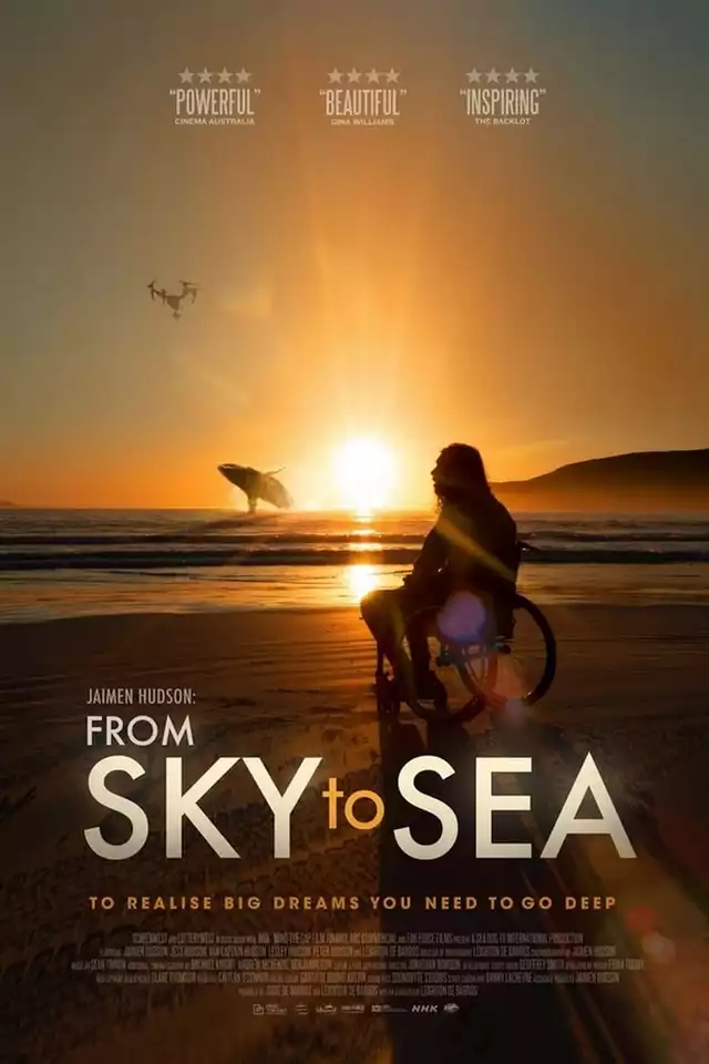 movie vertical poster fallback