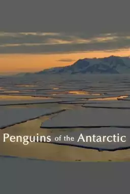 Penguins of the Antarctic