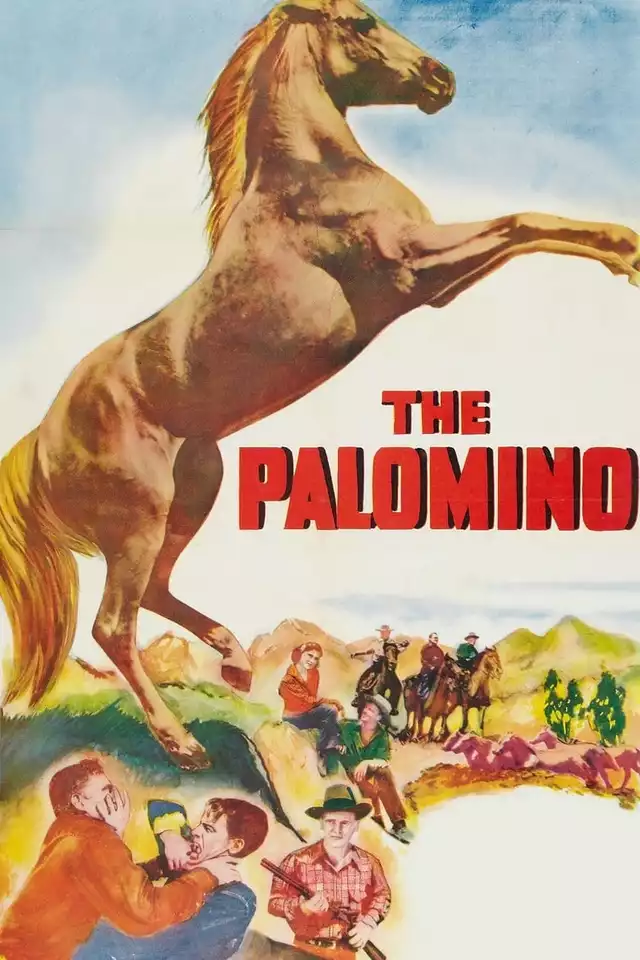 movie vertical poster fallback