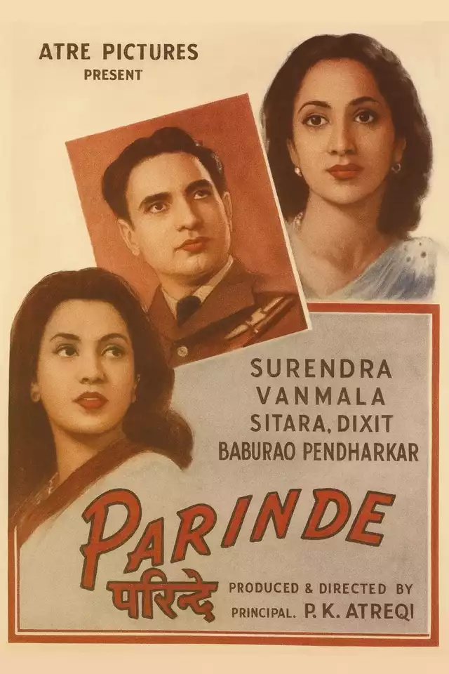 movie vertical poster fallback