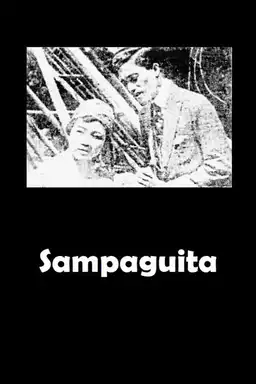 Sampaguita