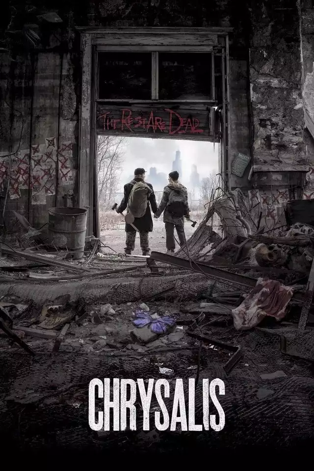movie vertical poster fallback