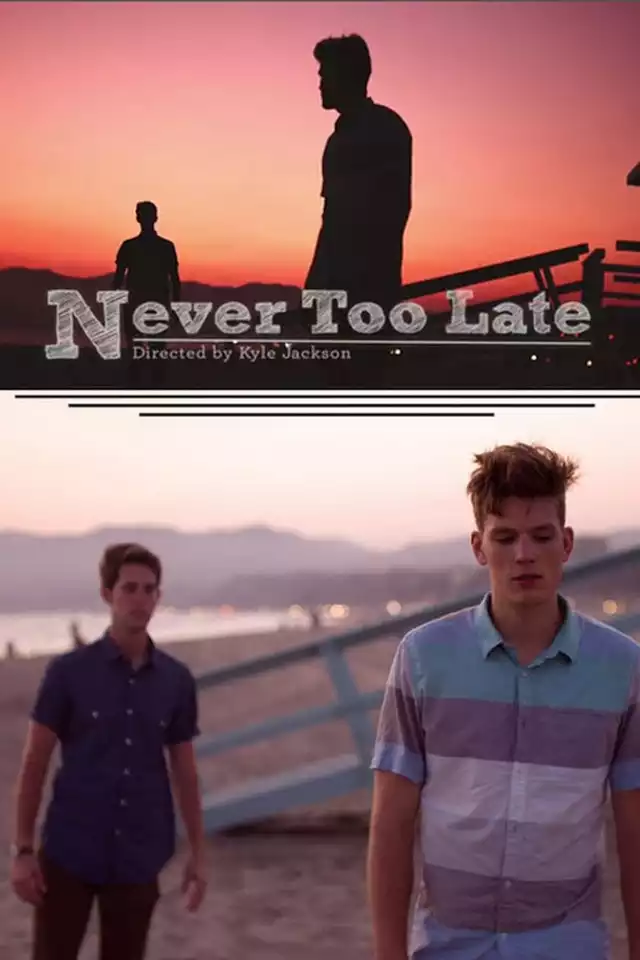 movie vertical poster fallback