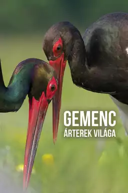 Gemenc - The world of floodplains