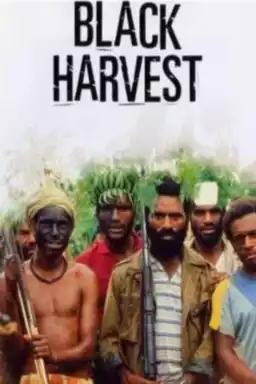 Black Harvest