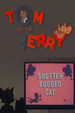 Shutter Bugged Cat