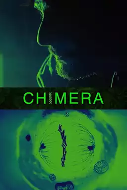 Chimera Strain