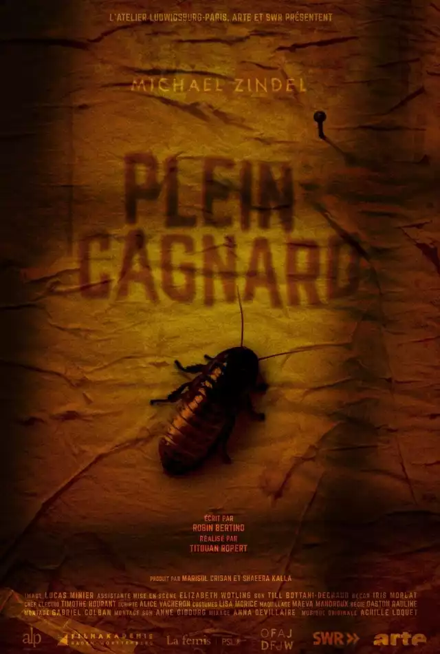 movie vertical poster fallback