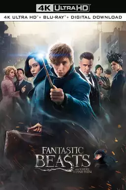 Fantastic Beasts and Where to Find Them