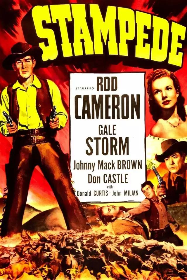 movie vertical poster fallback