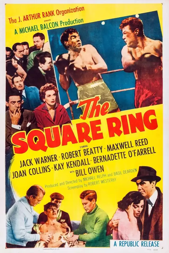 movie vertical poster fallback