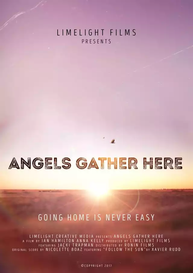 movie vertical poster fallback
