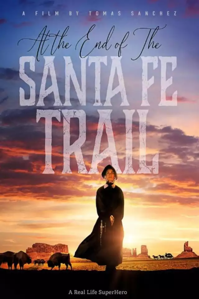 movie vertical poster fallback