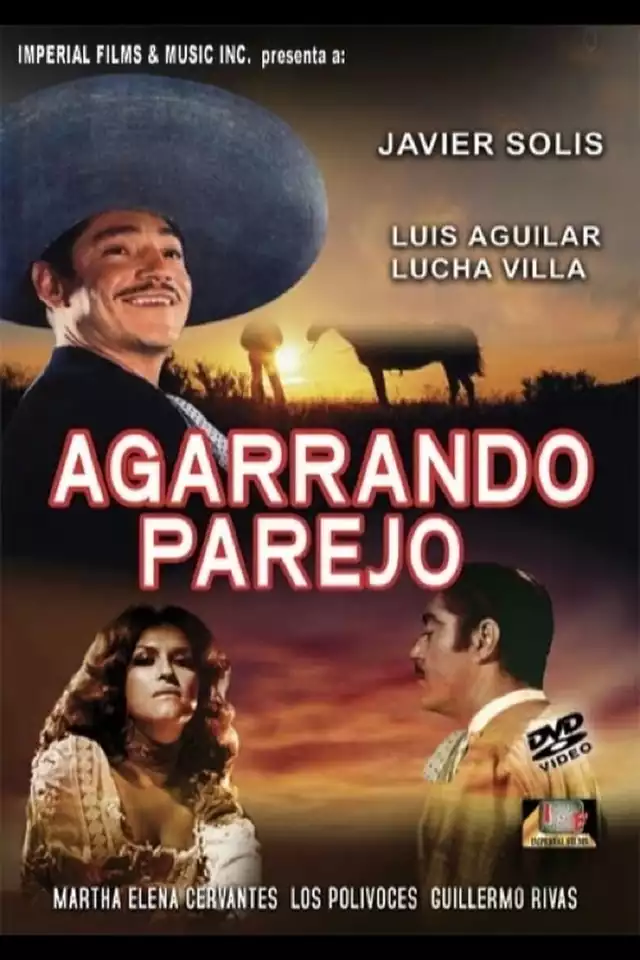 movie vertical poster fallback
