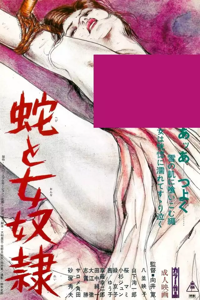 movie vertical poster fallback