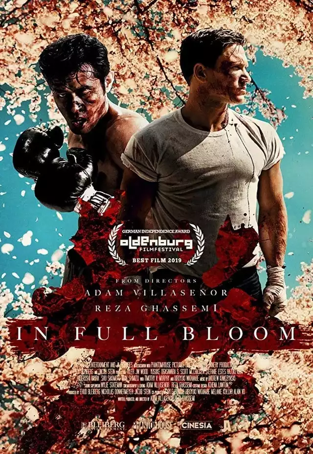 movie vertical poster fallback