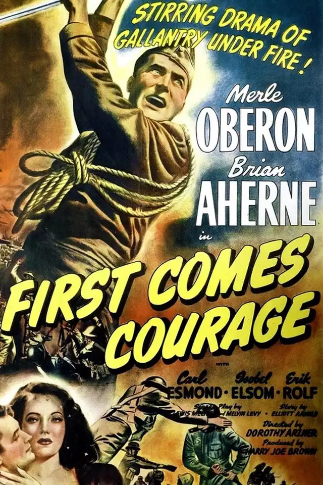 movie vertical poster fallback