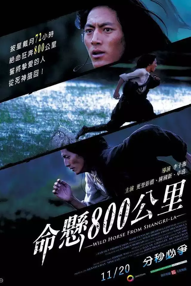 movie vertical poster fallback