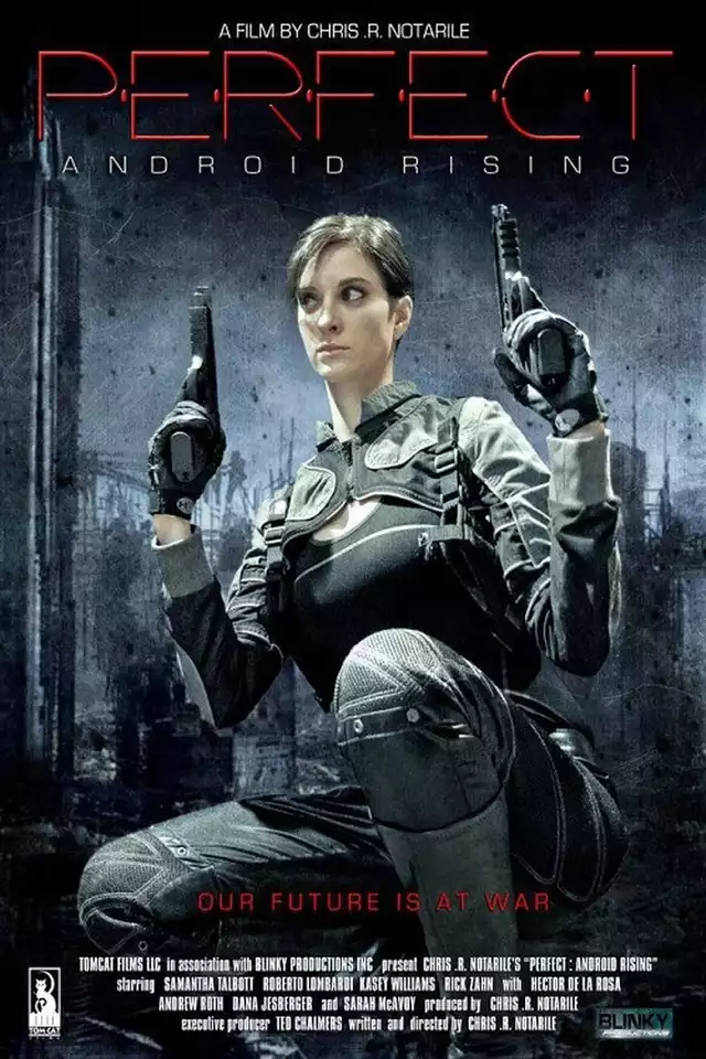 movie vertical poster fallback