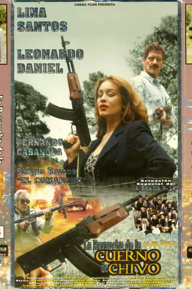 movie vertical poster fallback