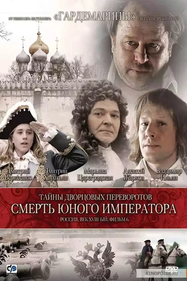 movie vertical poster fallback
