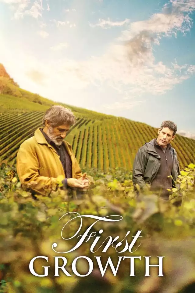 movie vertical poster fallback
